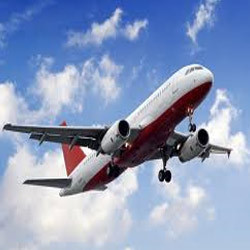 Manufacturers Exporters and Wholesale Suppliers of International Air Tour Nashik Maharashtra